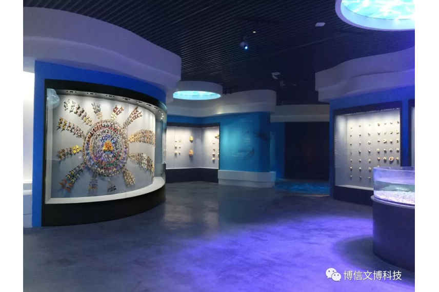 博物館（guǎn）展櫃