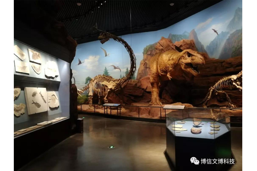 博物（wù）館通櫃