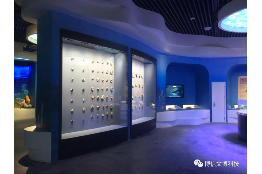 文物展（zhǎn）櫃