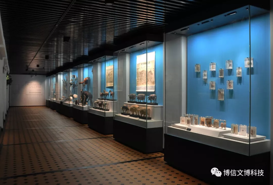 博物館（guǎn）展櫃