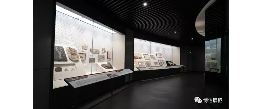 博物館展櫃（guì）