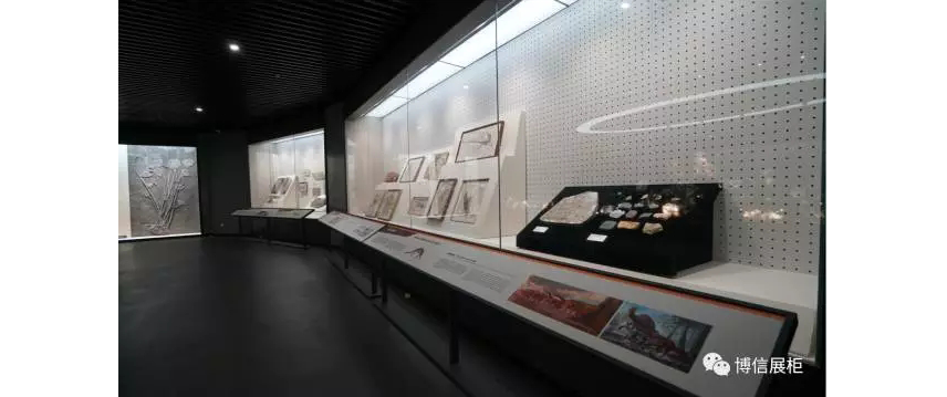 博物（wù）館展（zhǎn）櫃